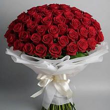 Букет 101 Красная роза Блэк Мэджик в Боровске