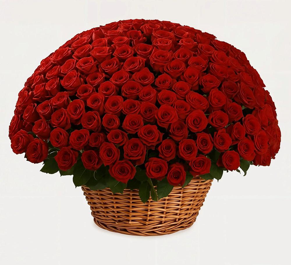 Премиум букет из: Розы в Боровске